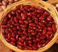 Červené fazole: užitečné vlastnosti