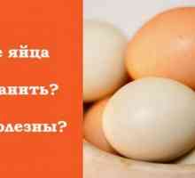 Slepičí vejce - jejich výhody a poškozuje