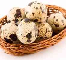 Léčivé vlastnosti křepelčích vajec. Pramenem užitečných minerálů