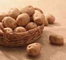 Léčení hemoroidů brambory: lidové recepty
