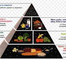 Strava a správné výživy s cholecystitidou