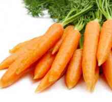 Léčba nachlazení mrkvová šťáva
