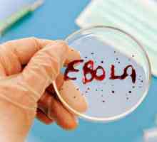 Ebola: kde je pevná, známky, za, zda je možné léčit na prevenci infekce