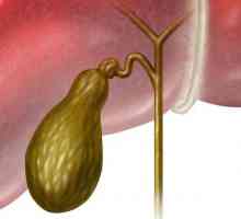 Giardia ve žlučníku - příznaky a léčba