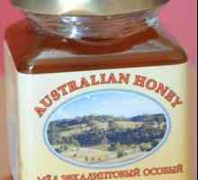 Eucalyptus je med sladký, užitečné! Od dávných dob, ale léčit nemoci