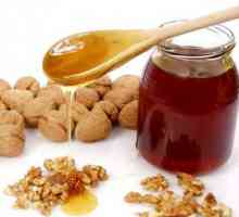Med smíchána s ořechy a sušené ovoce - maximální přínos pro zdraví!