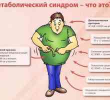 Metabolický syndrom (syndrom X)