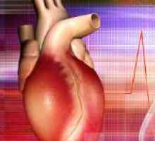 Myokarditida - zánět srdečního svalu