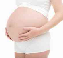 Polyhydramnios během těhotenství
