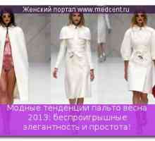 Módní trendy jaro 2013 srst: win-win elegance a jednoduchosti!