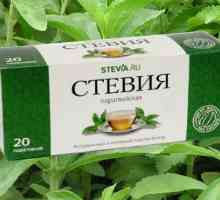 Mohu pít stevia v diabetes mellitus: přínosy a škody