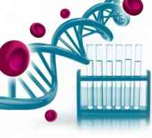 Mutace genů hemostázy: projevy a důsledky