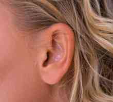 Lidová léčba zánětu středního ucha.