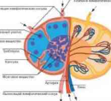 Dědičná microspherocytosis