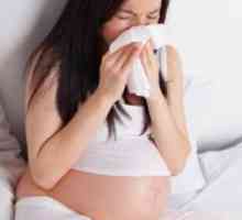 Výtok z nosu během těhotenství