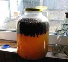 Tinktura z včelího Podmore vodky zmírnit lidské polštářky onemocnění!