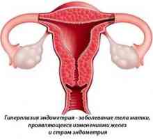 Jmenování Duphaston v menopauze