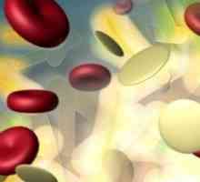 Norma leukocytů v moči mužů, důvodech pro růstem počtu bílých krvinek.