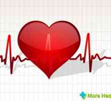 Normální lidské srdce: cyklická a odchylky