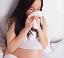 Je třeba léčit alergie pro těhotné ženy? Obraťte se na alergologa!