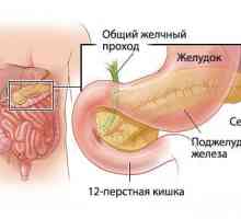 Příznaky a léčba pankreatické zánětu u dítěte