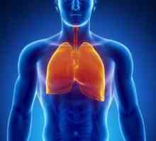 Focal pneumonie - co to je? Hlavními příznaky