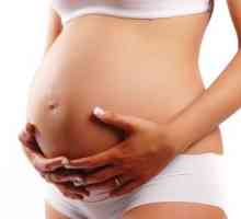 Stanovení hladiny HCG v průběhu těhotenství