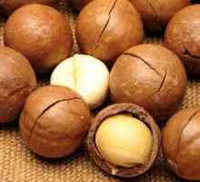 Makadamových ořechů - zdravé ovoce, potřebuje tělo jako kyslík!
