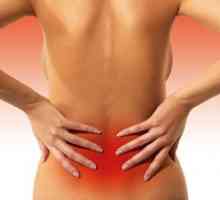 Mezi hlavní příčiny bolesti spodní části zad u žen. Fyziologické, patologické, vnější.