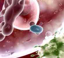 Rysy vývoje a léčbu viru lidského papilomaviru u mužů