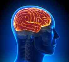 Relativní a absolutní kontraindikace MRI mozku