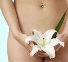 Papilloma na intimní místa pro muže a ženy, jak to vypadá, odstranění