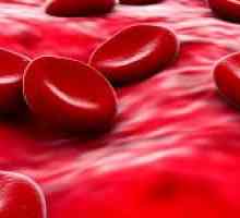Norma hemoglobin v krvi a jeho funkce