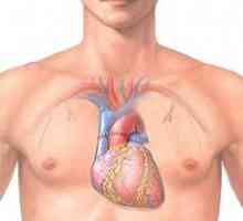 Transplantace srdce: povaha a realita provozu, čtení, hospodářství, prognóza