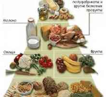 Potravní pyramidy - tradiční, „všežravý“ výživy.