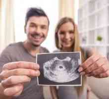 Je to nebezpečné pro plod dělat ultrazvuk v raném těhotenství?