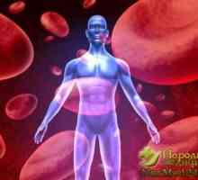 Proč muži trpí hemofilií častěji než ženy, a to může dělat tradiční medicíny