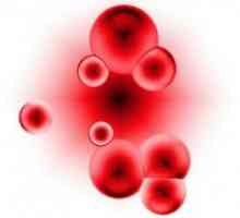 Zvyšovat hemoglobinu lidových nápravná opatření. anémie