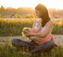 Výskyt trhlin na bradavky během kojení: příčiny a léčba