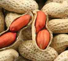 Jsou arašídy užitečný při dietách?