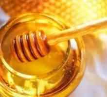 Je užitečné, zda vzít med na lačný žaludek?