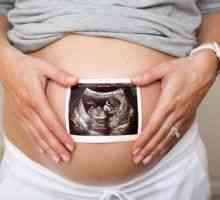 Břišní ultrazvuk: jaké orgány vypadat