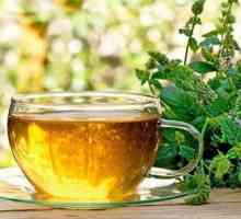 Výhody a poškozuje černého čaje s tymiánem