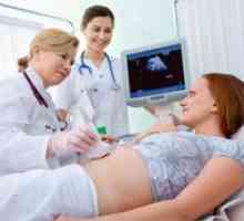Zvýšená testosteronu během těhotenství