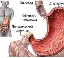 K určení příčiny a léčení kručení v žaludku po jídle