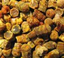 Přírodní produkt, který má více než 20 prospěšné vlastnosti, splňují - včelí pyl