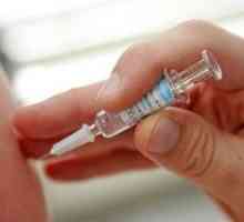 Očkování proti klíšťové encefalitidě - jak se chránit před vážnou nemocí?