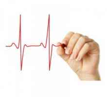 Pulsní (srdeční frekvence): normální hodnoty pro věk, příčiny a důsledky vysoké a nízké