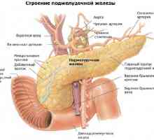 Reaktivní pankreatitida - když slinivka se zanítí