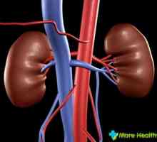 Umístění ledvin v lidském těle